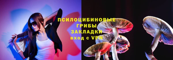 трава Бородино