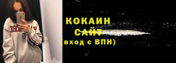 сатива Бронницы
