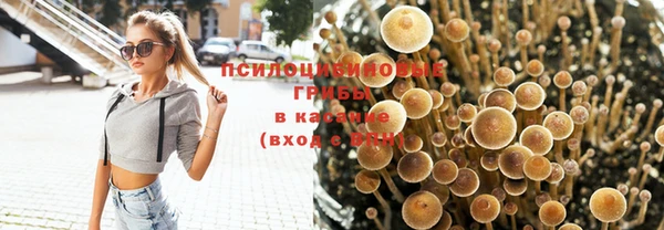 трава Бородино