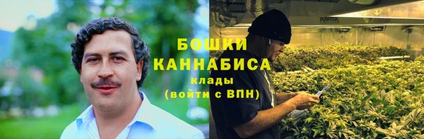 трава Бородино